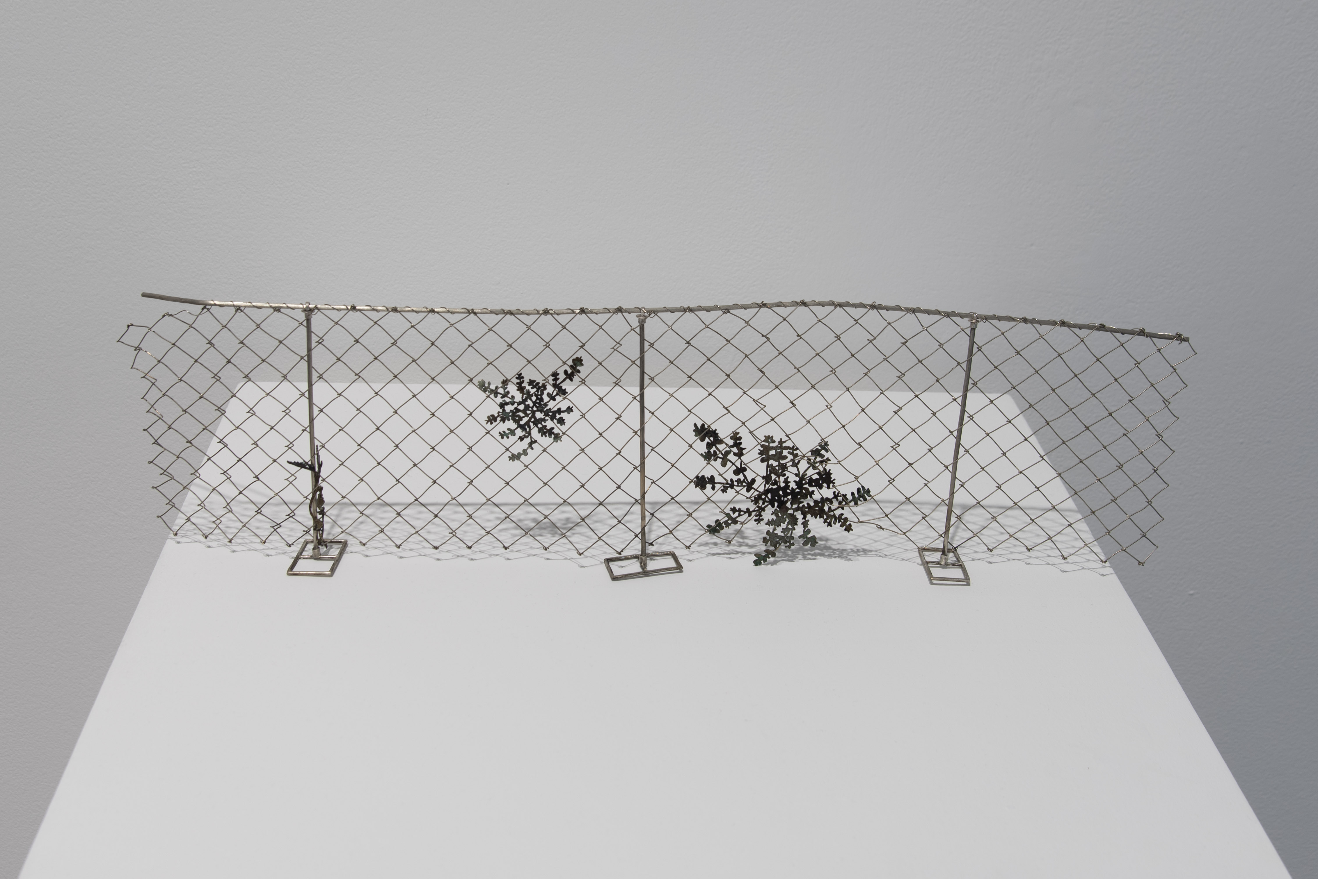 Overlooked Installation exhibits_fence and posts by Natalie Macellaio
